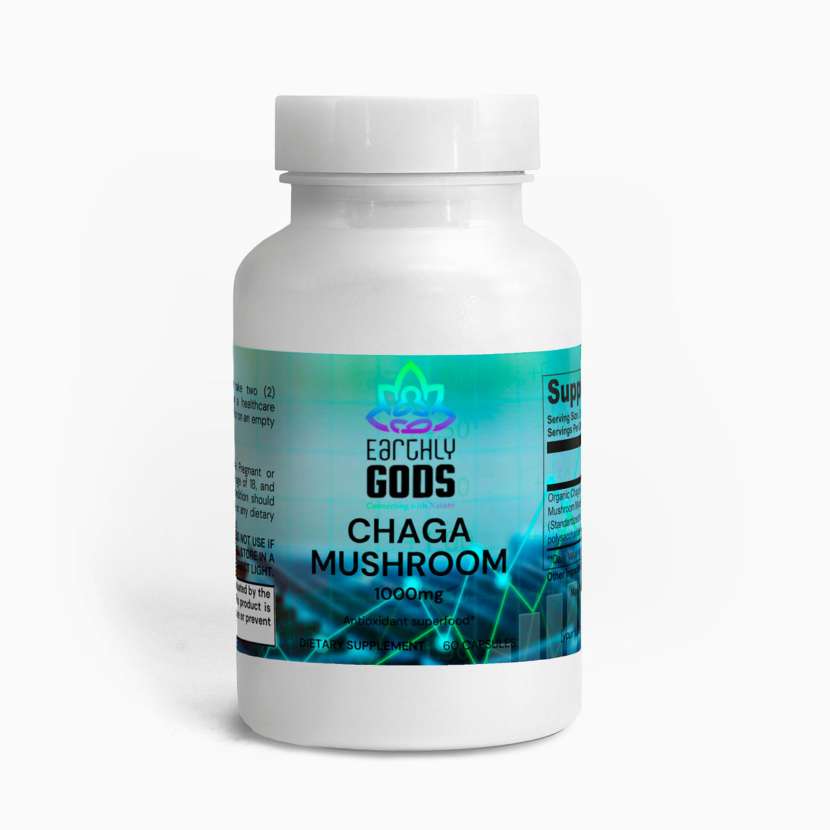 Chaga Mushroom