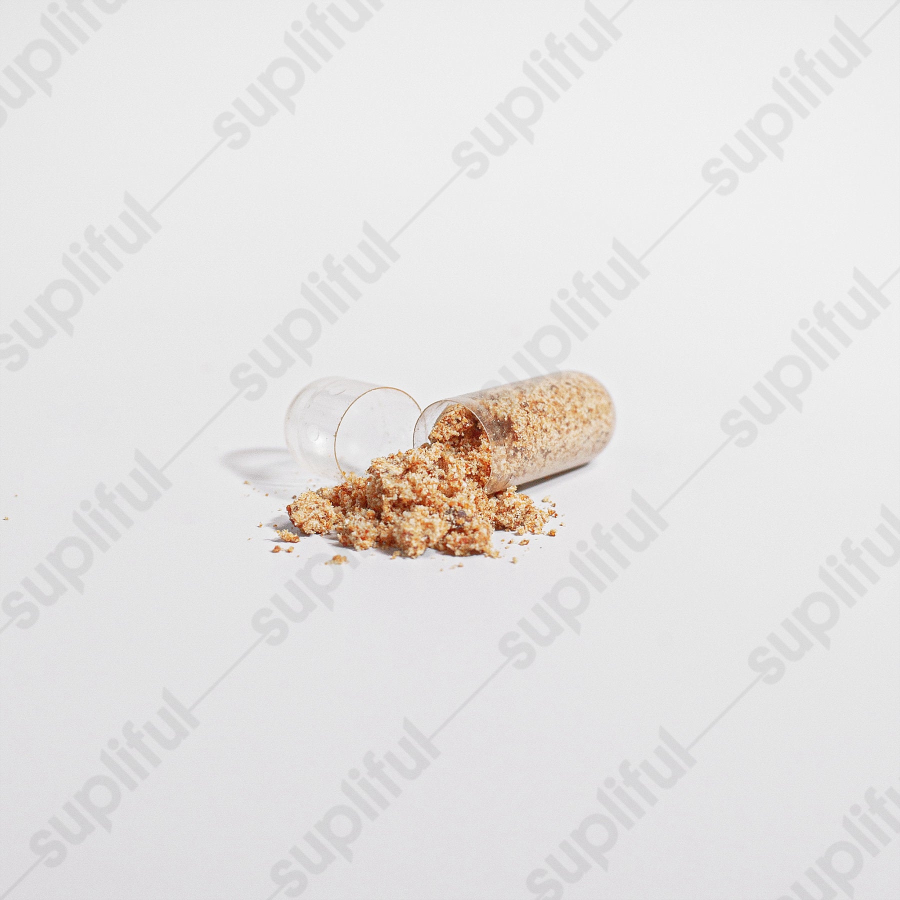 Bee Pearl - Image 5