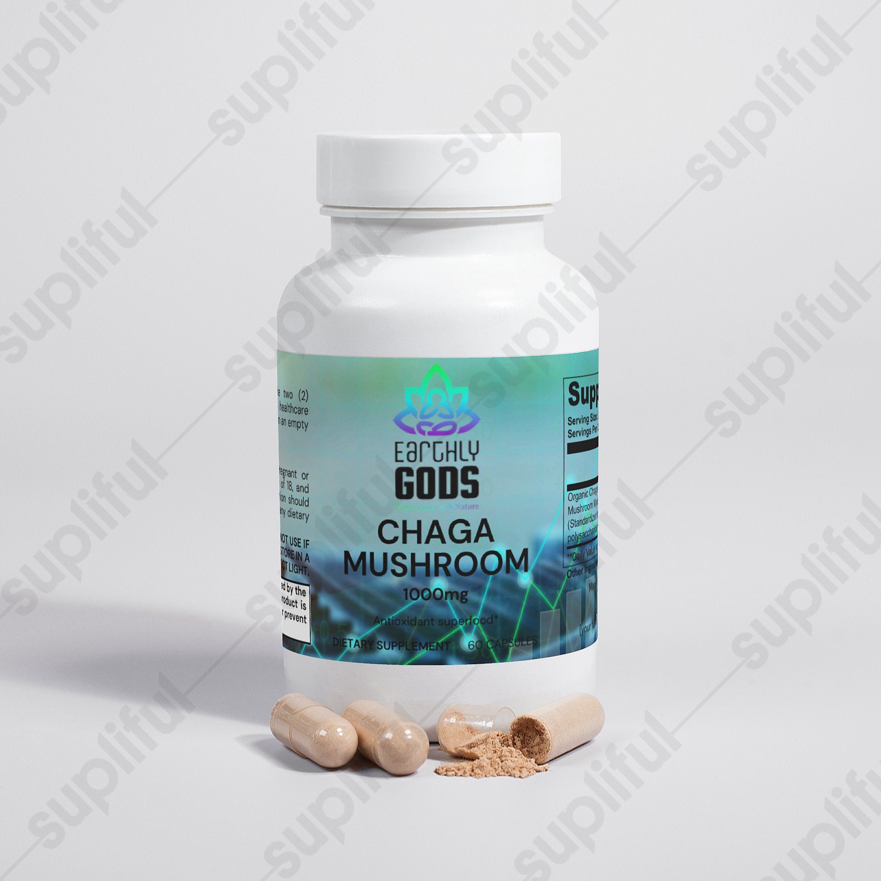 Chaga Mushroom - Image 2
