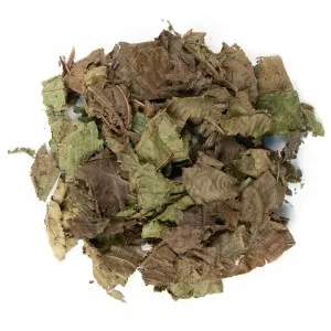 Alchornea Leaves