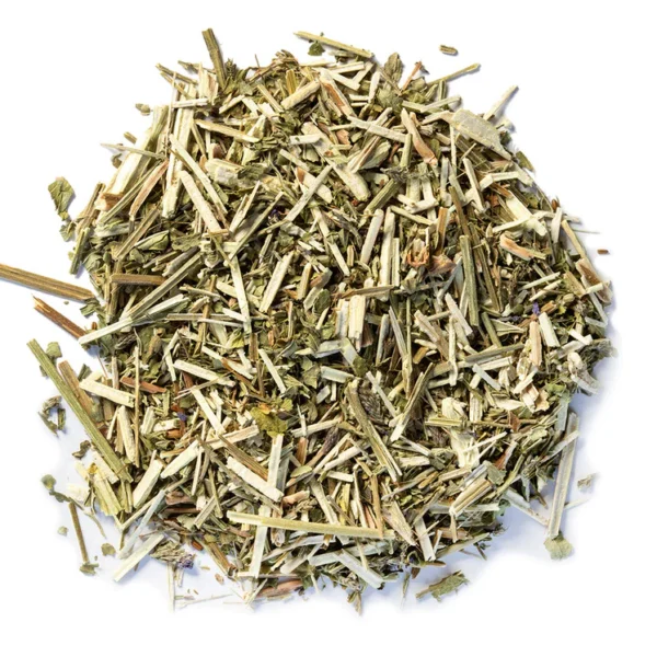 Blue Vervain C/S