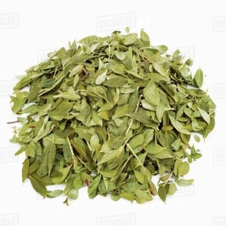 Buchu Leaf C/S