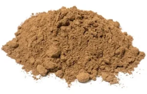 Cordyceps Mushroom Extract Powder