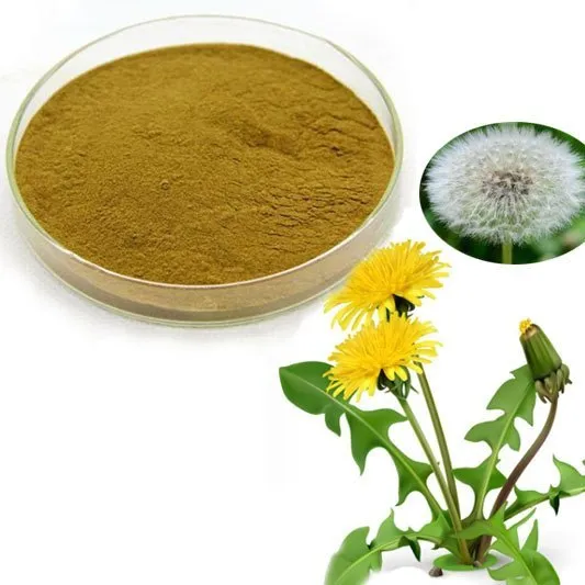 Dandelion Root Powder