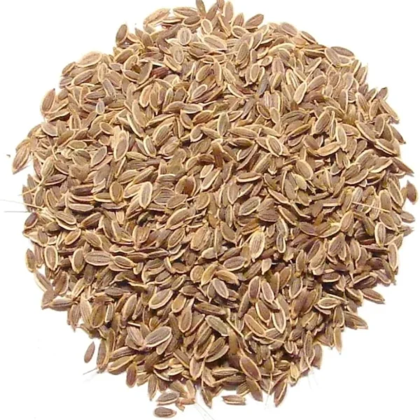 Dill Seed Whole