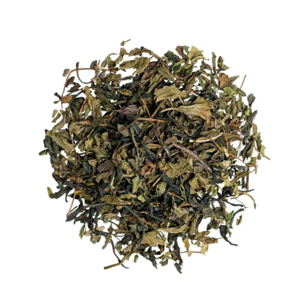 Green Tea Moroccan Mint