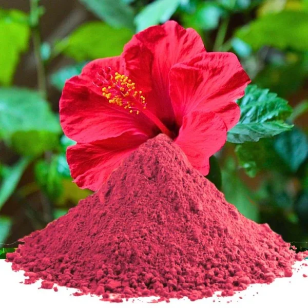 Hibiscus Flower Powder