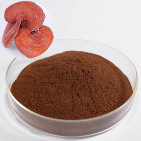 Reishi Mushroom Extract Powder