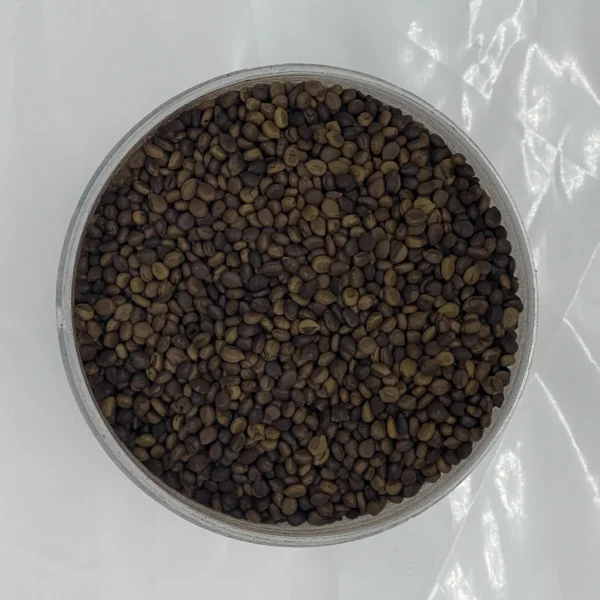 Kinkeliba Seeds Roasted