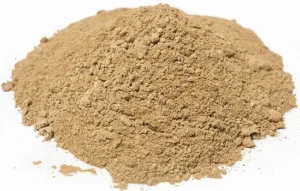 Lion's Mane Mushroom Powder