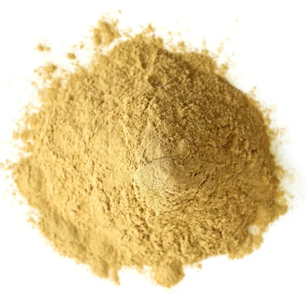 Maitake Mushroom Extract Powder
