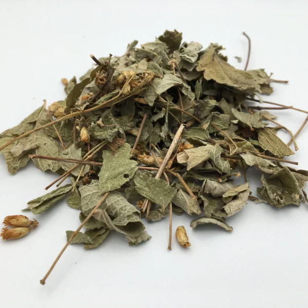 Mexican Dream Herb Calea
