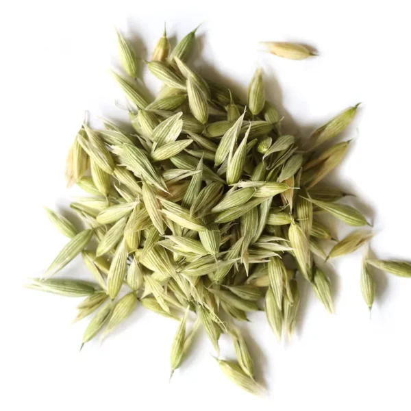 Oat Tops Milky Whole Seed
