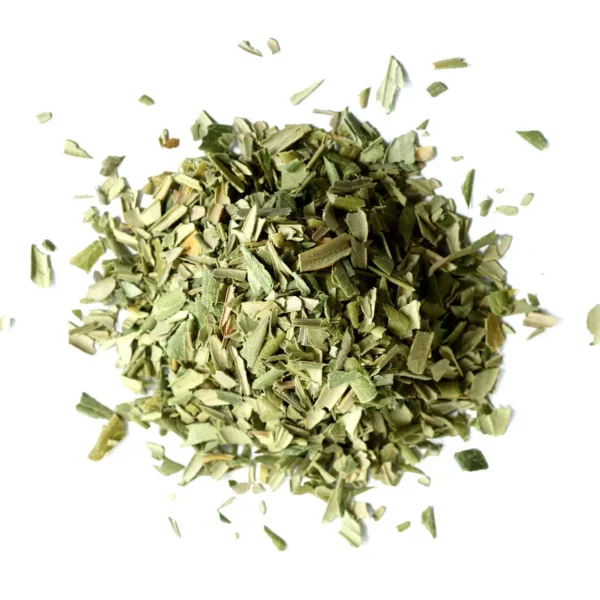 Olive Leaf C/S