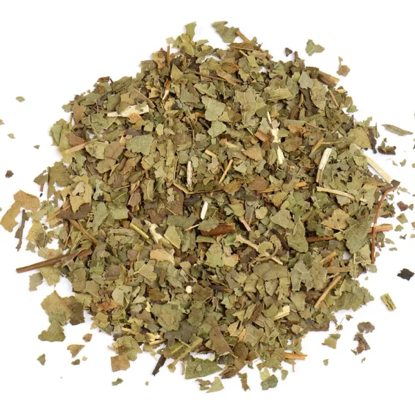 Sassafras Leaf C/S