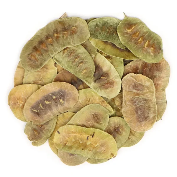 Senna Pods Whole