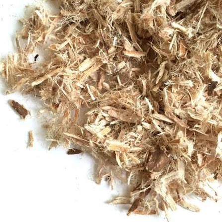 Slippery Elm Inner Bark C/S