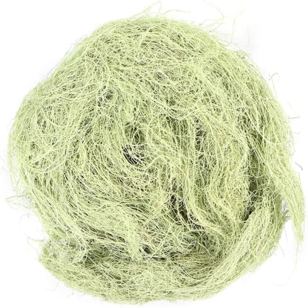 Usnea Lichen Whole