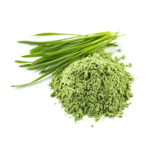 Wheat Grass Powder