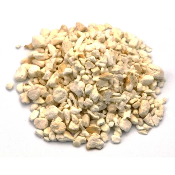 Wild Yam Root C/S