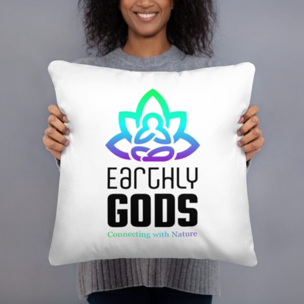Basic Pillow