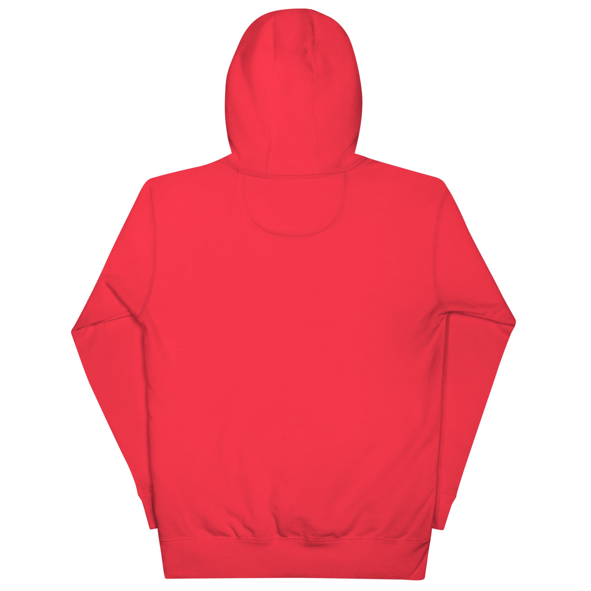 Unisex Hoodie - Image 11